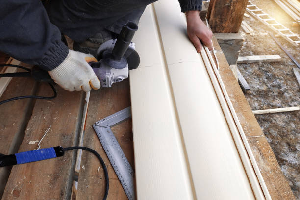 Best Vinyl Siding Installation  in Country Walk, FL